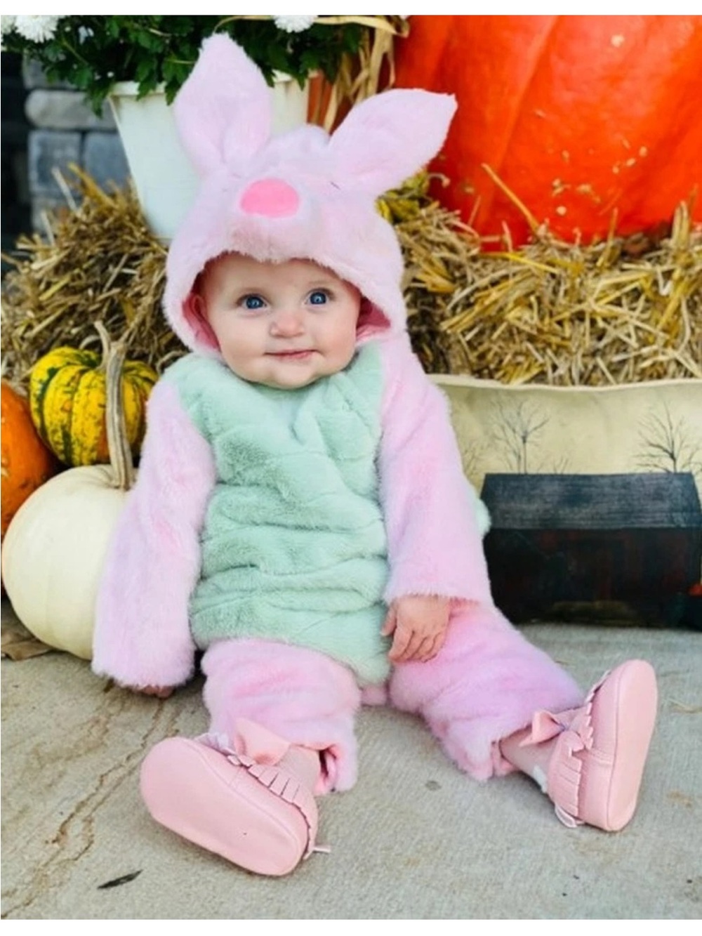 Pottery Barn kids PIGLET (Winnie the Pooh) costume